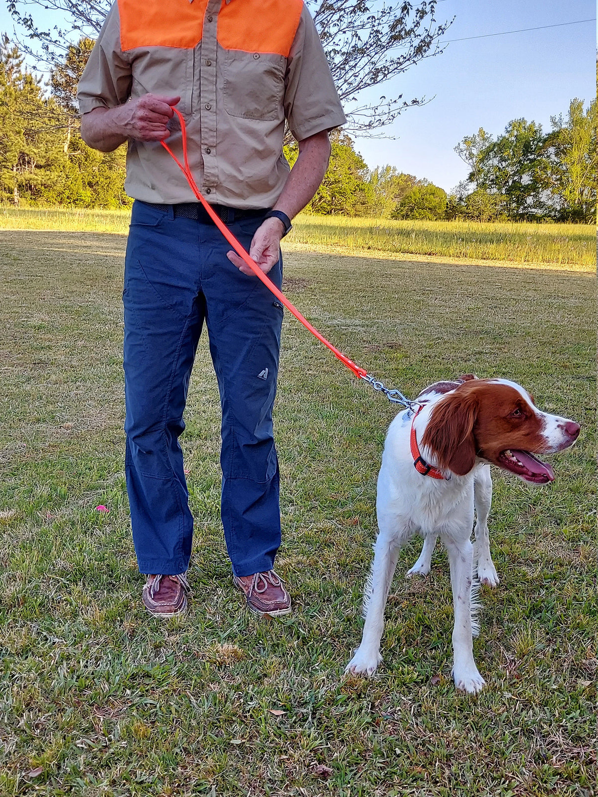 Hunter's Starter Kit — Choose Your Leash + 1" Collar + Free Brass Tag