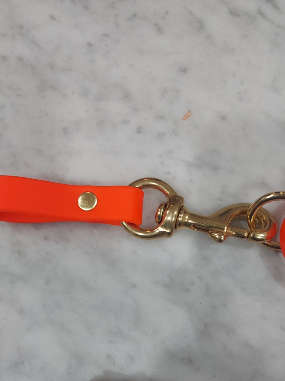 Belt Accessory Loop