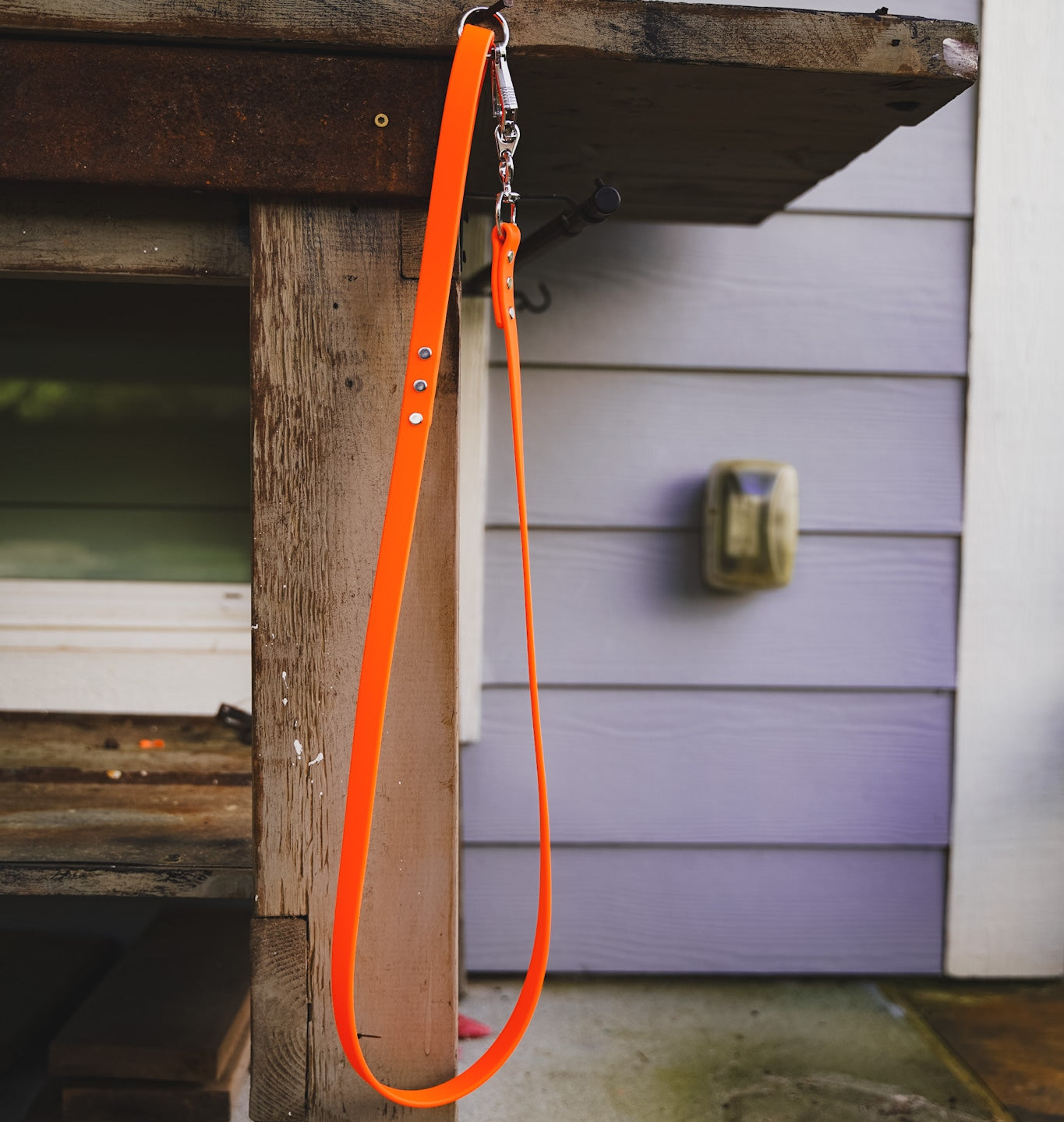 Medium Handlers Leash with French Snap 4 colors