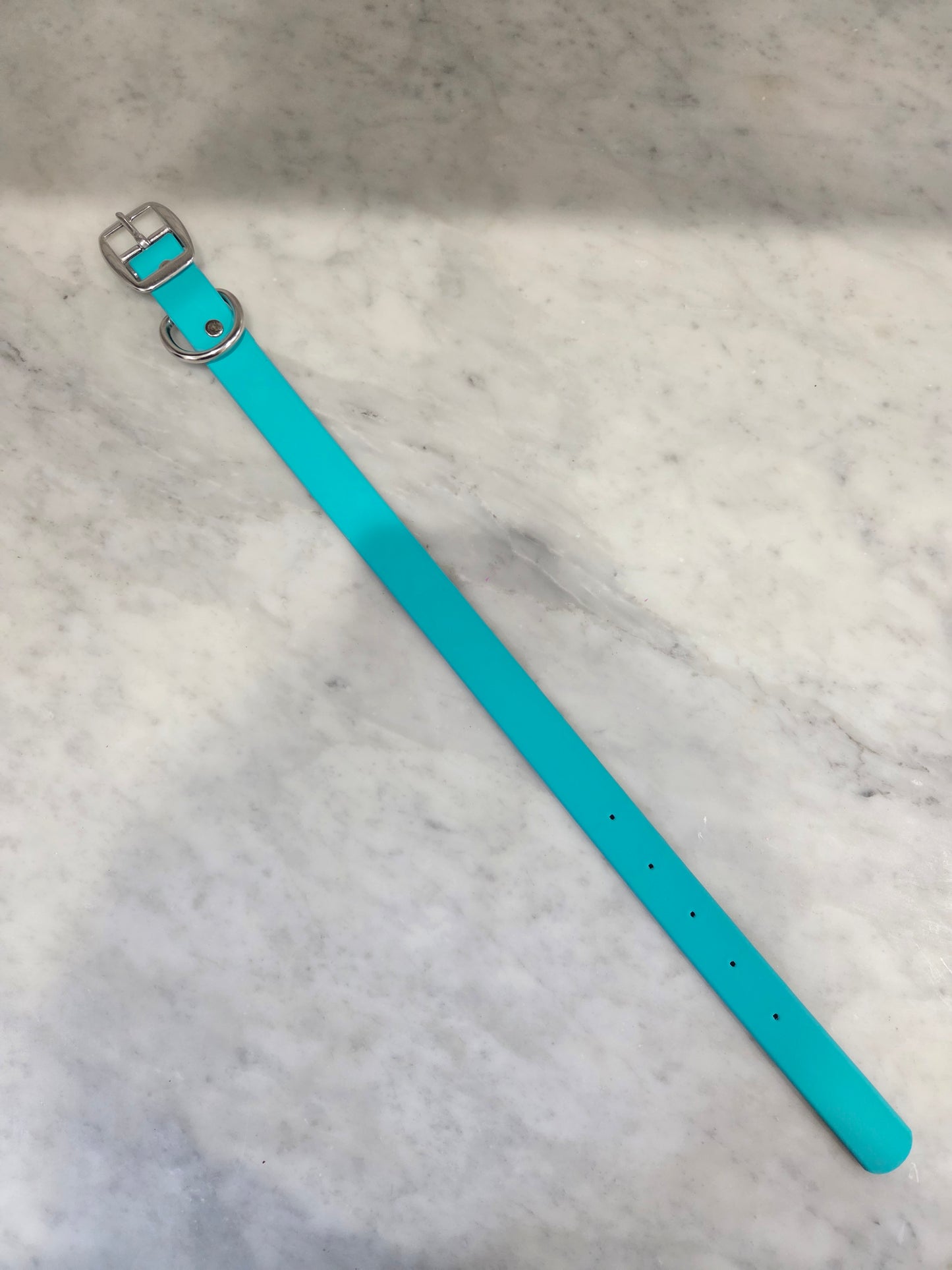 1" Biothane Super Heavy Collar with D Ring