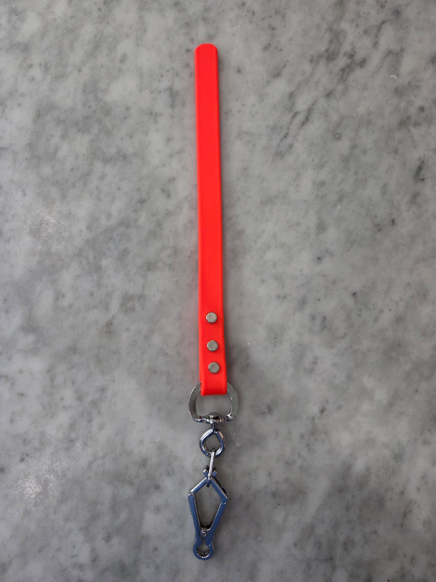 Training Tab with French Snap or Bolt Snap