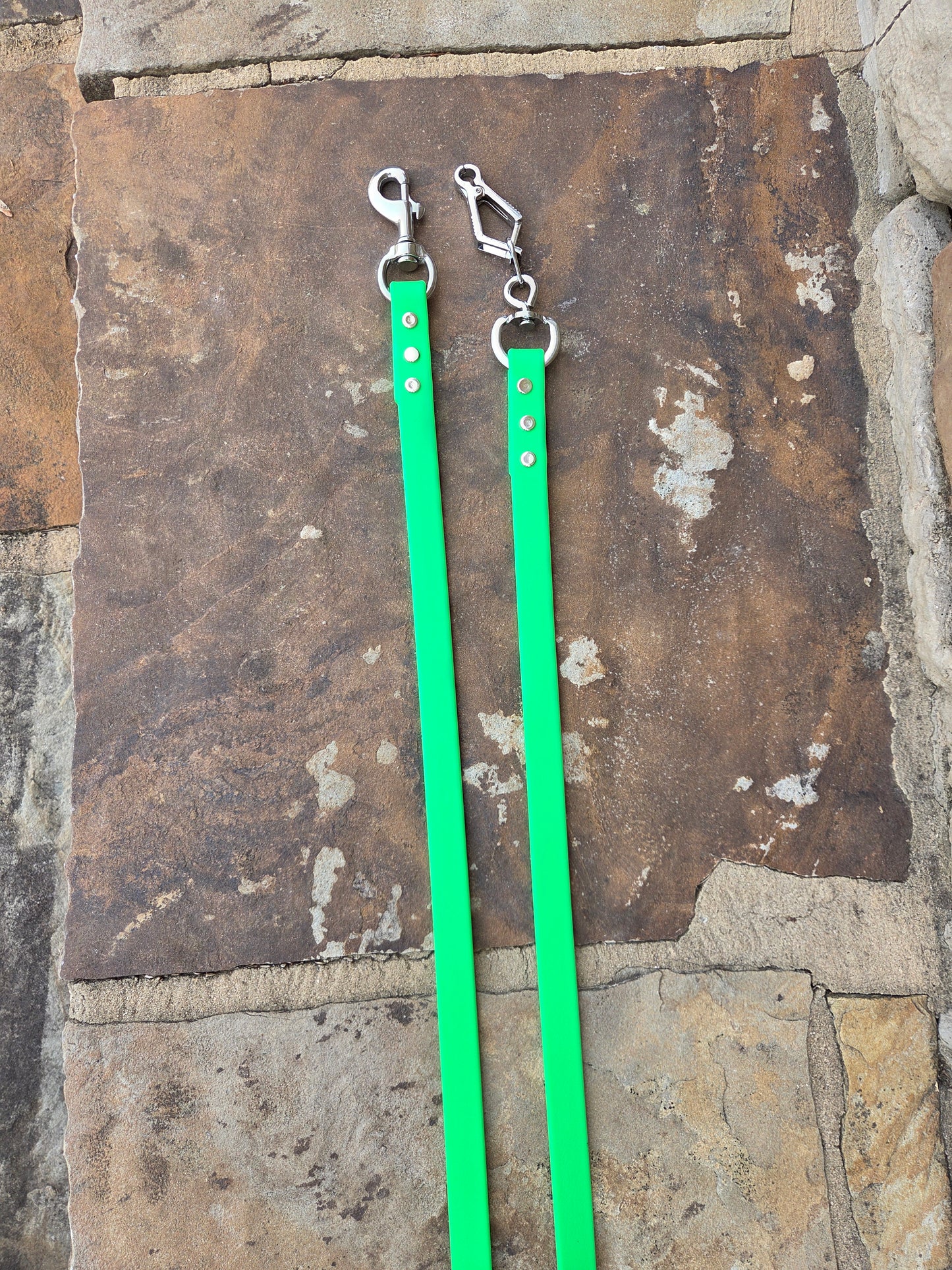 Jaeger Over-the-Shoulder Lead — Biothane with Stainless French Snap