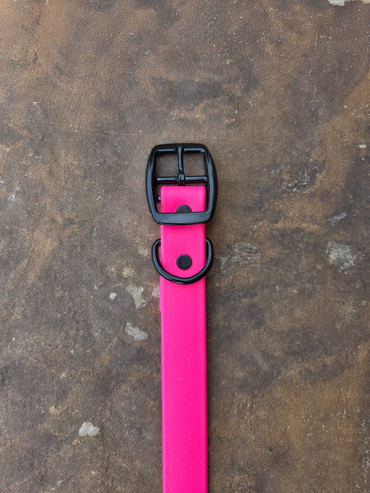 1" Biothane Dog Collar with D-Ring — Super Heavy Beta