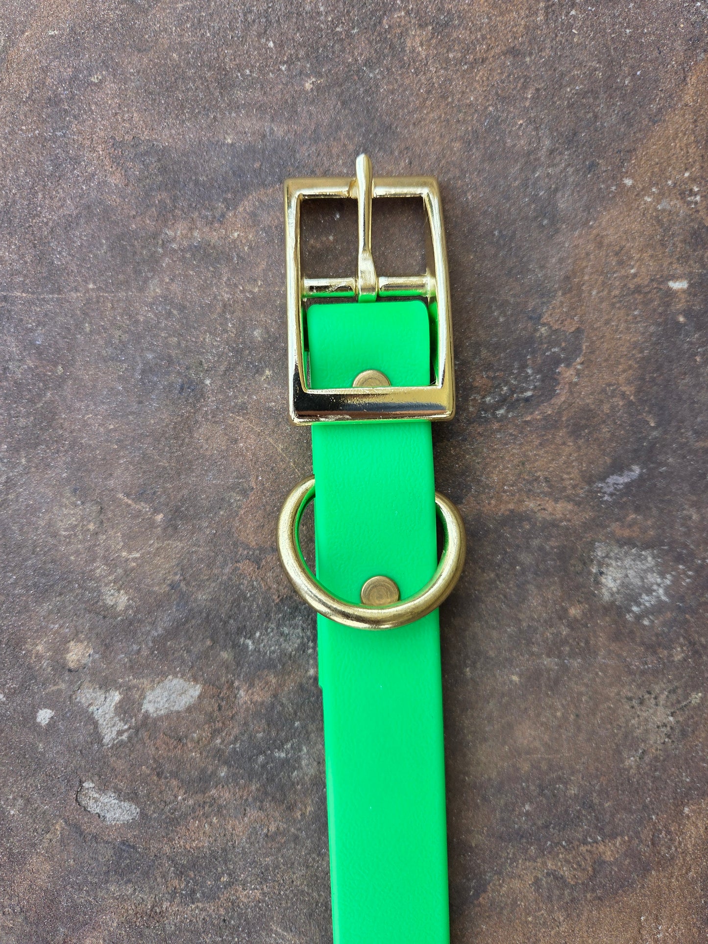 1" Biothane Dog Collar with D-Ring — Super Heavy Beta