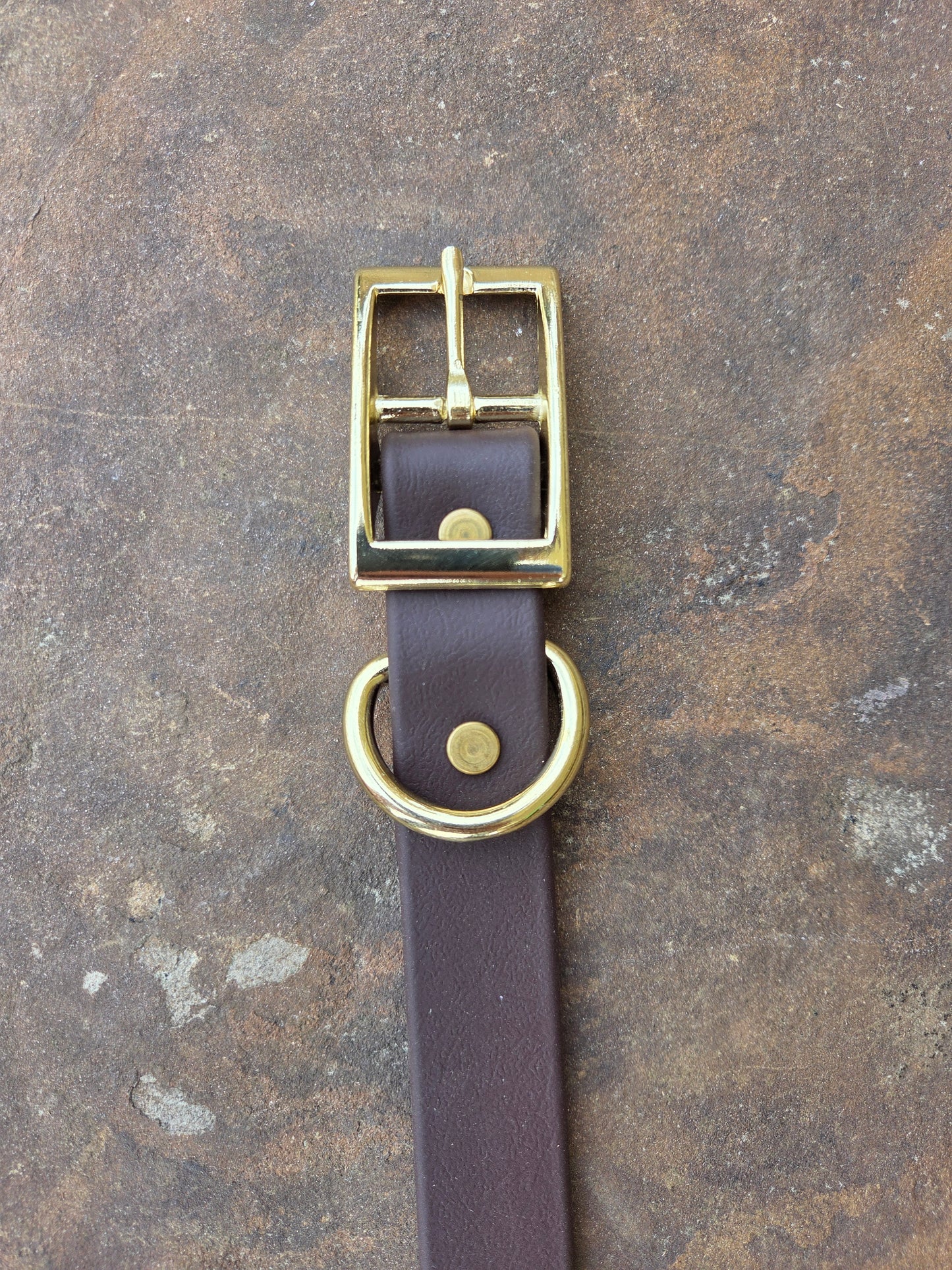 1" Biothane Dog Collar with D-Ring — Super Heavy Beta