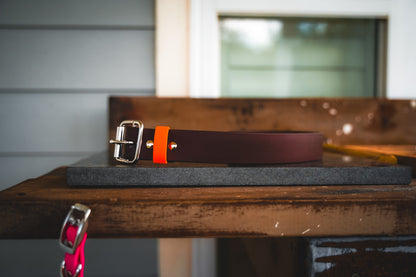 Sportsman Biothane belt in blaze orange