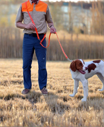 Jaeger Lead Over the Shoulder Walker Leash 4 colors