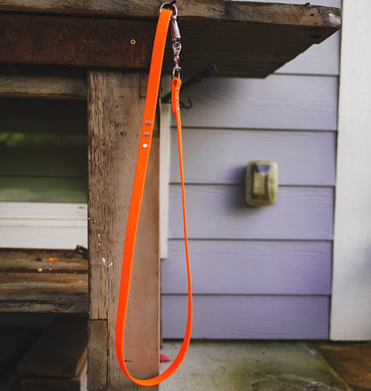 Medium Handlers Leash with French Snap 4 colors