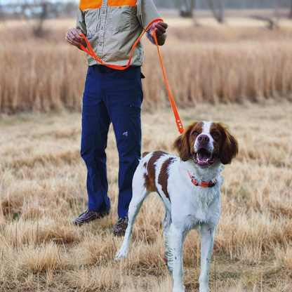 Medium Handlers Leash with French Snap 4 colors