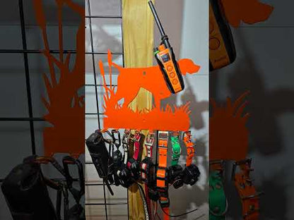 Belt / Collar Holder, GSP, Lab, English Pointer