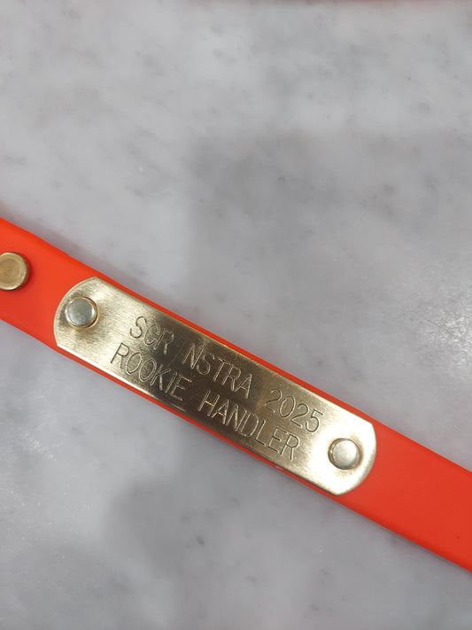 Personalized Engraved brass tag for Leashes, and 3/4" Collars (5/8" Tag)