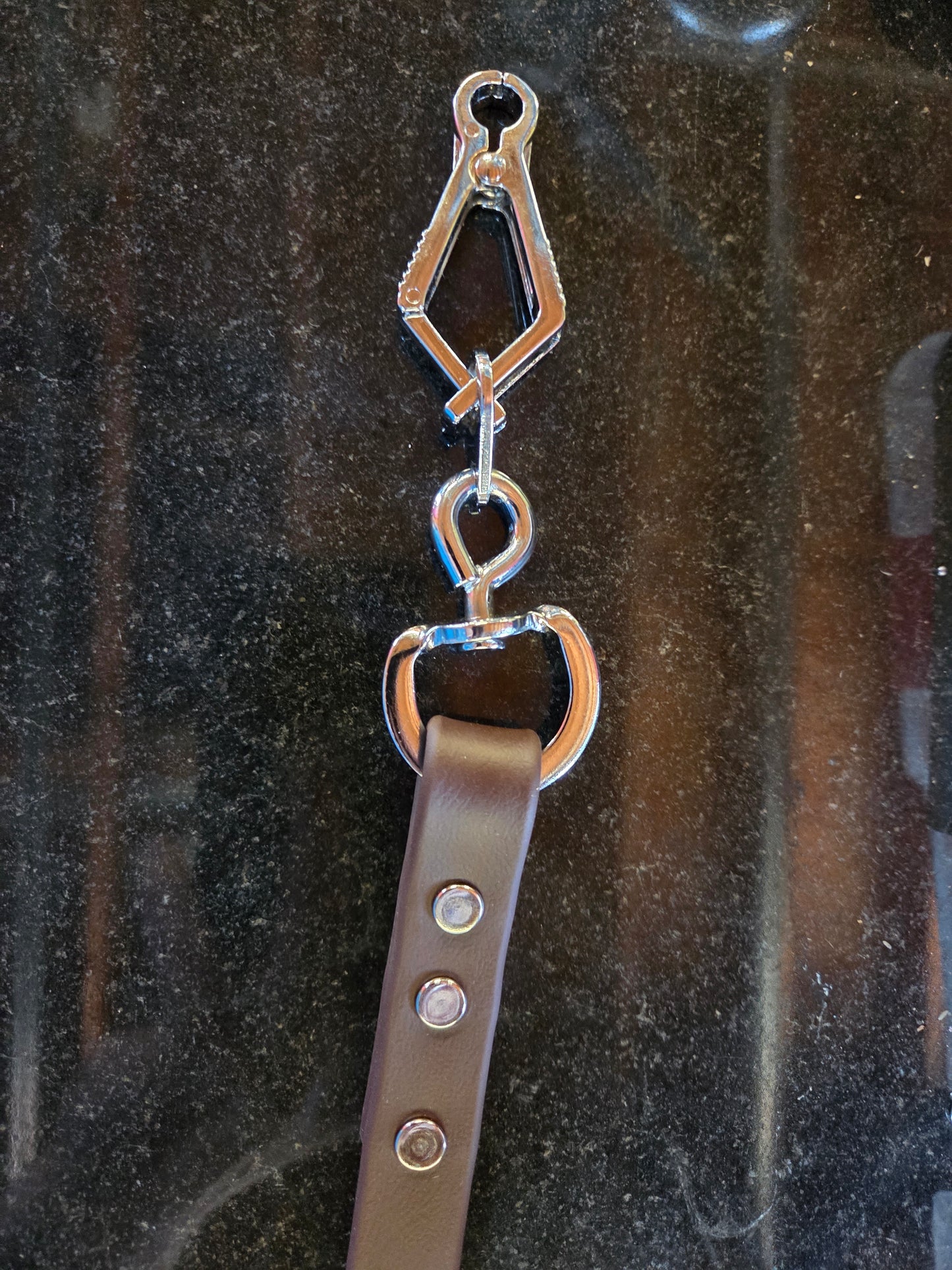 Medium Handlers Leash with French Snap 4 colors