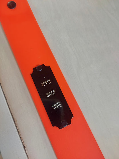 Personalized Engraved brass tag for Belts or 1" Collars