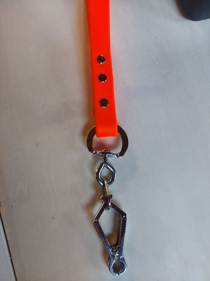 Training Tab With Handle and French Snap