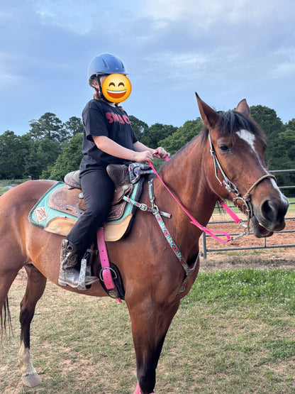 Horse Reins 3/4in Biothane