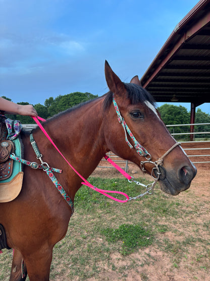Horse Reins 3/4in Biothane