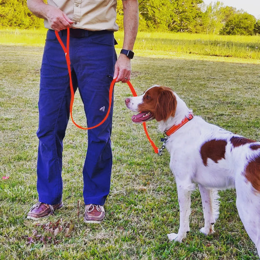 Hunter's Starter Kit — Choose Your Leash + 1" Collar + Free Brass Tag